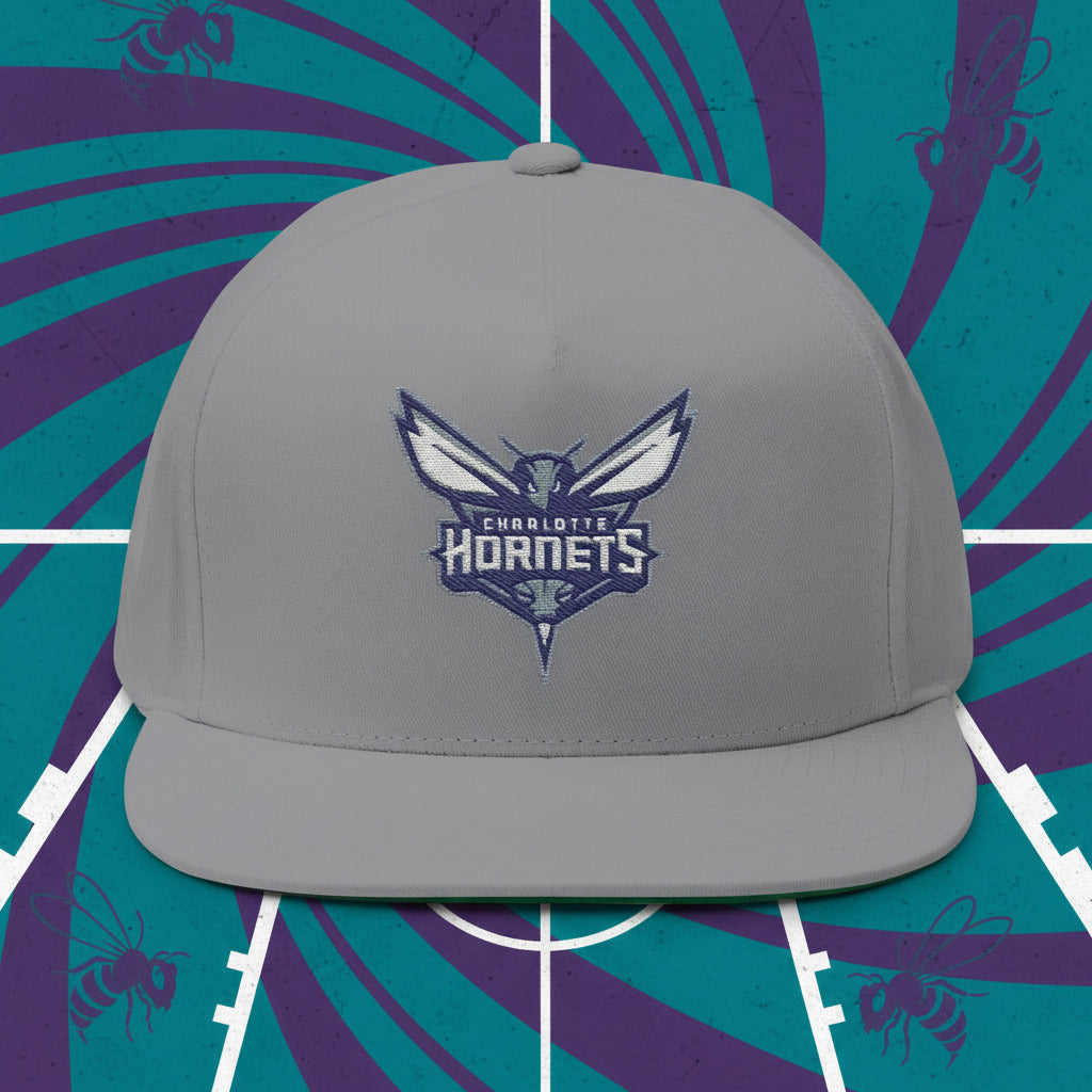 Gray cap with Charlotte Hornets logo 
